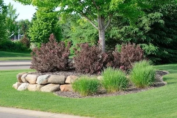 The Importance of Tree & Shrub Care | Mighty Green Lawn Care