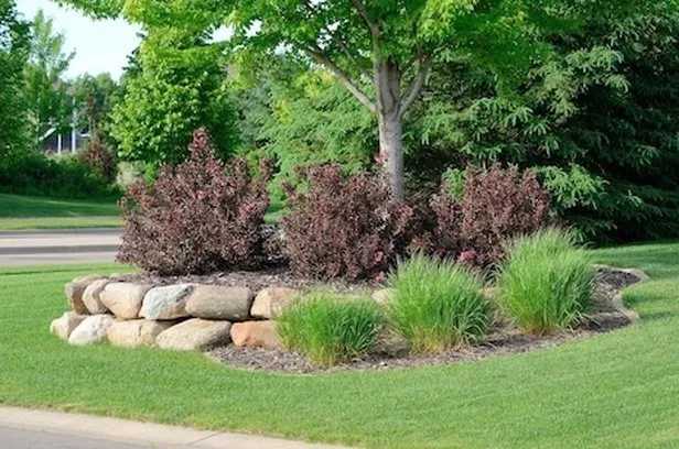 The Importance of Tree & Shrub Care | Mighty Green Lawn Care