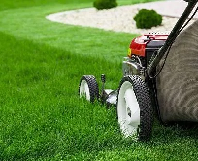 What You Need to Know About Lawn Mowing | Mighty Green Lawn Care