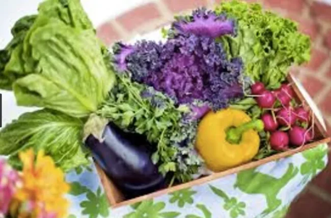 Benefits of a Vegetable Garden | Mighty Green Lawn Care