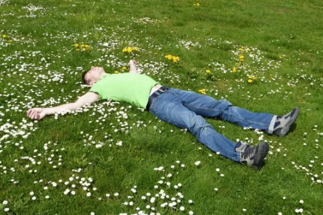 How to Reduce Lawn Maintenance | Mighty Green Lawn Care