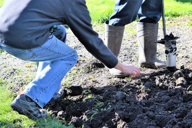 Wintertime Planting