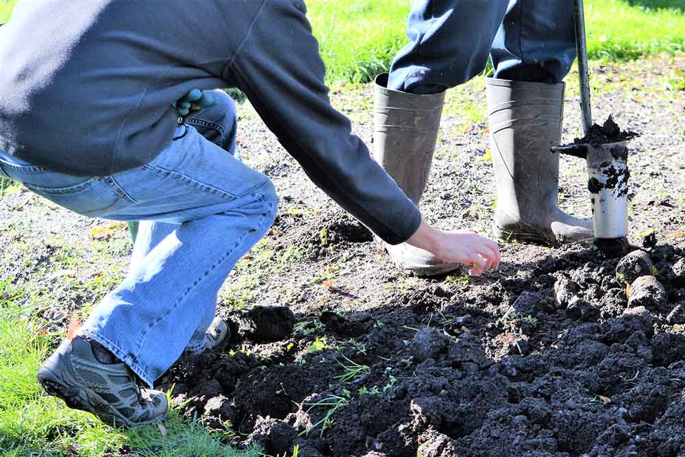 Wintertime Planting