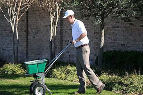 Why You Should Fertilize Your Lawn | Mighty Green Lawn Care