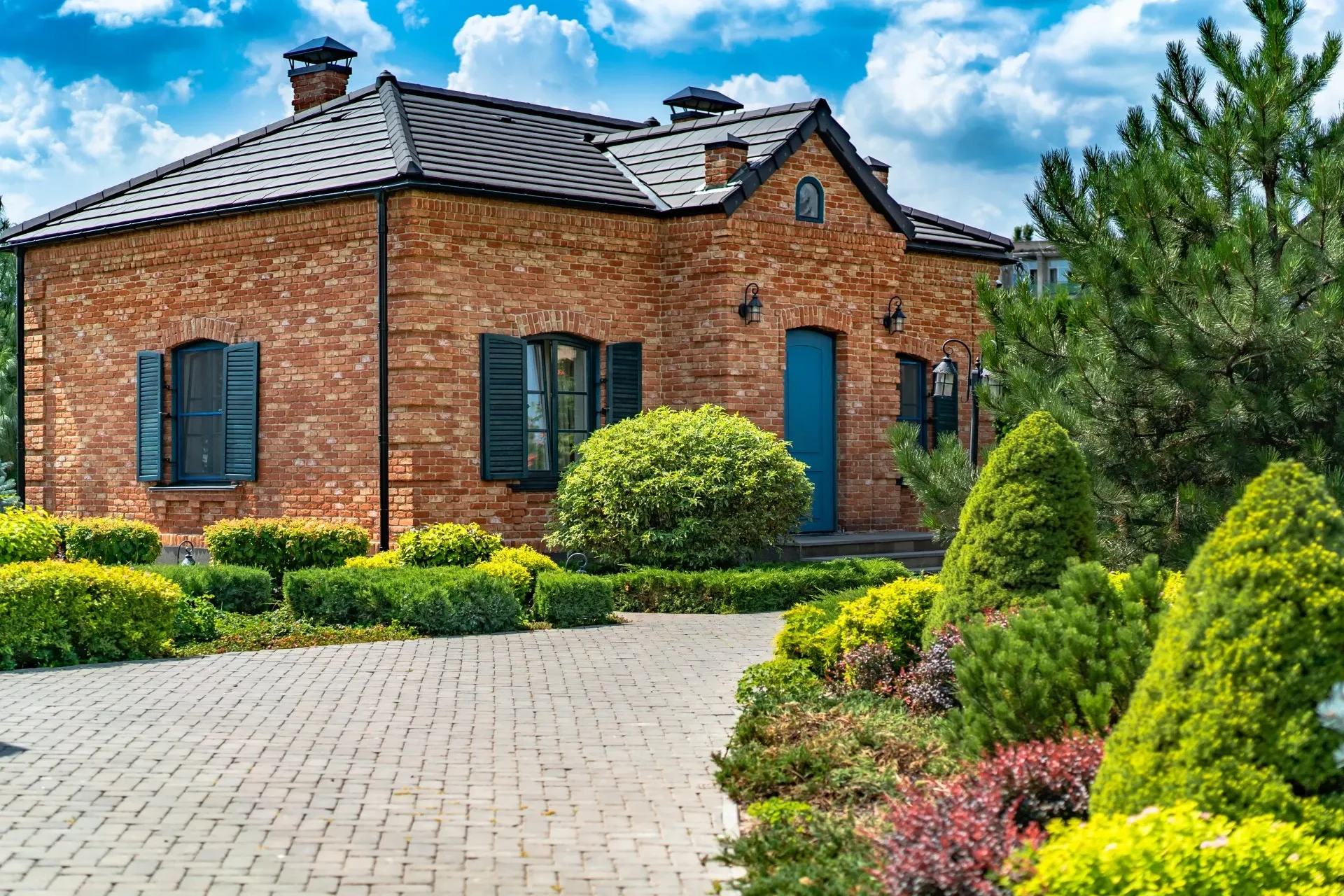 Tips for Keeping Your Trees Healthy All Year | Mighty Green Lawn Care