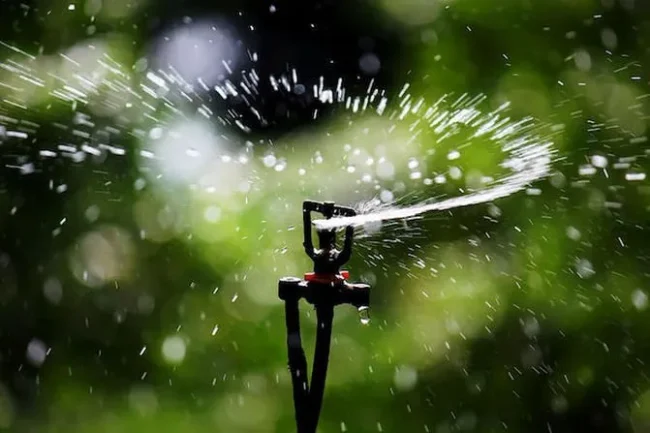 When to Stop Watering Your Lawn in the Fall | Mighty Green Lawn Care
