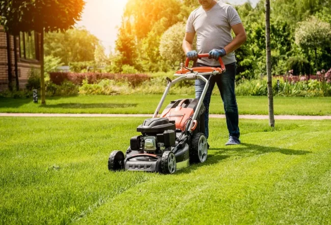 when+to+do+lawn+maintenance-1920w