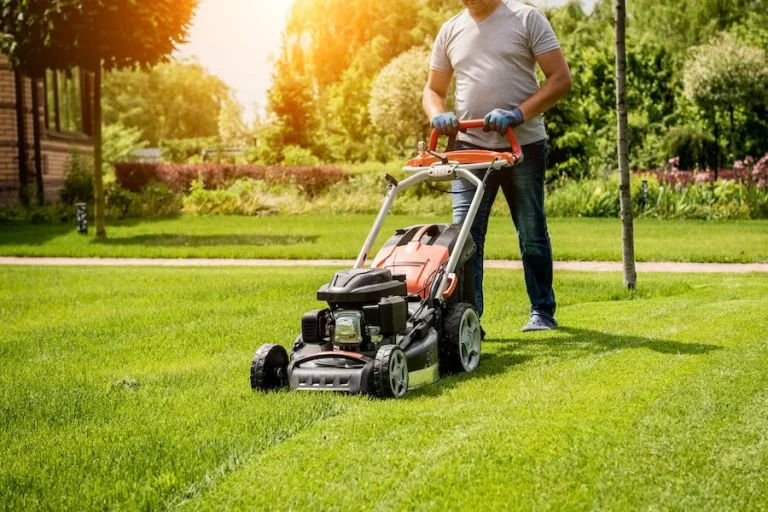 lawn care blog