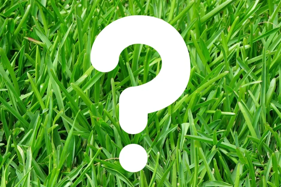 lawn+care+questions-1920w
