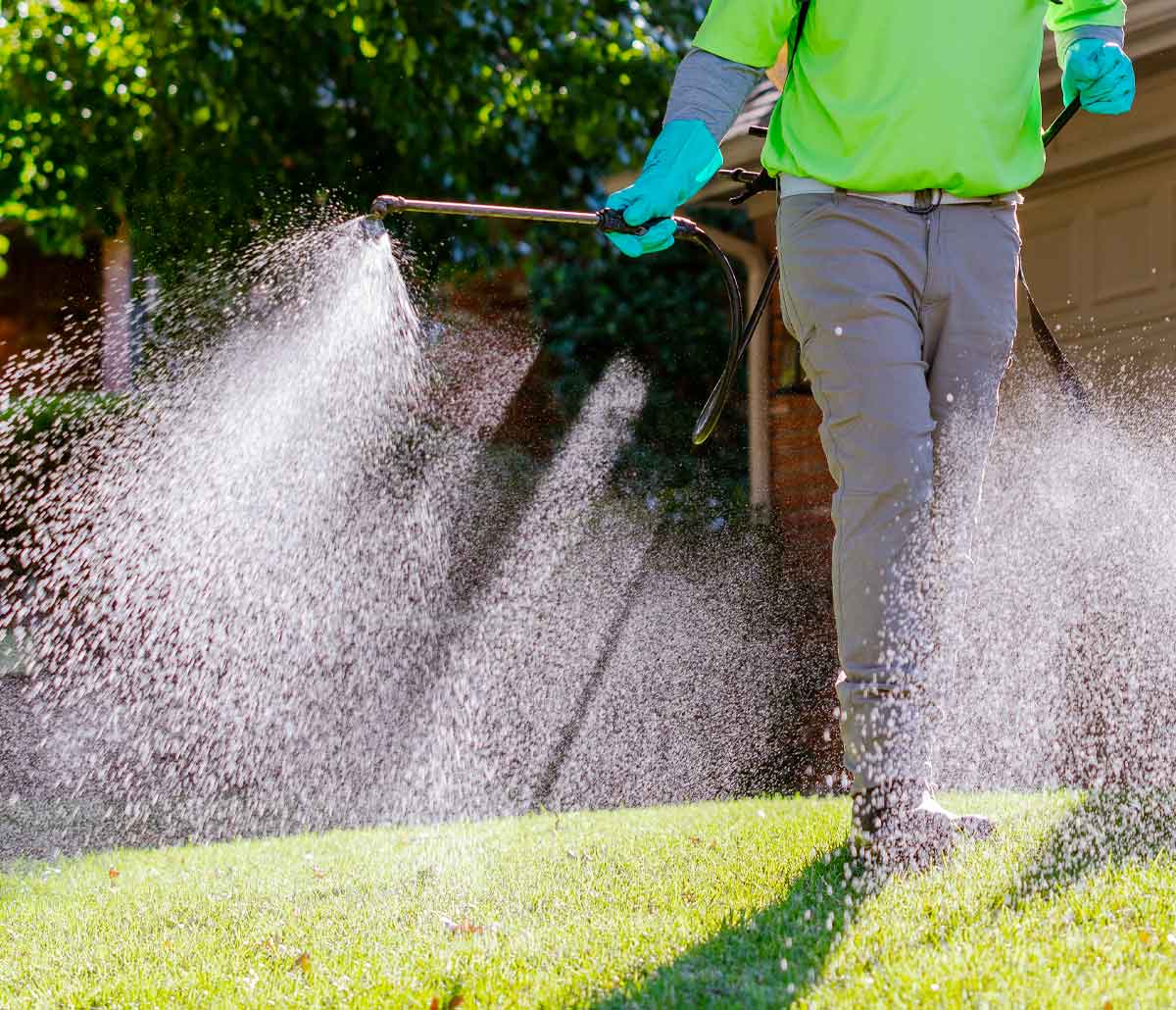 lawn care employee spraying a lawn