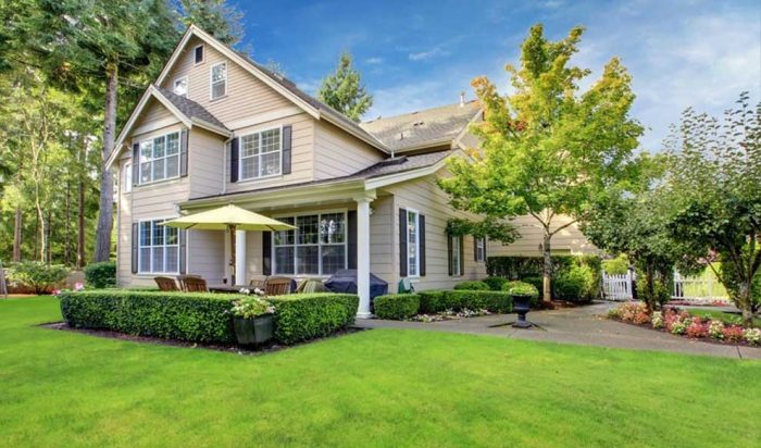 Lawn-Treatment-Services-in-Birmingham lawn care services