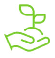 lawn care company