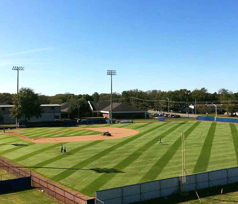 Lawn Care Birmingham