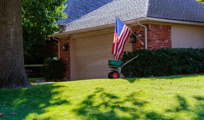 image of a Mighty Green lawn