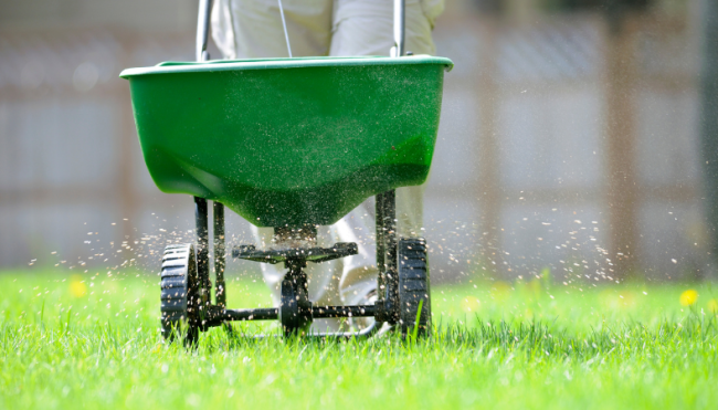 birmingham lawn care schedule man using lawn fertilizer spreader in green grass, lawn care schedule