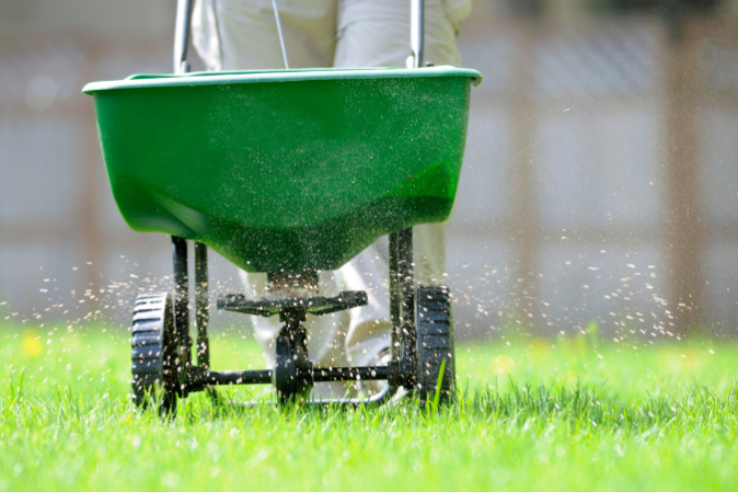 man using lawn fertilizer spreader in green grass, lawn care schedule