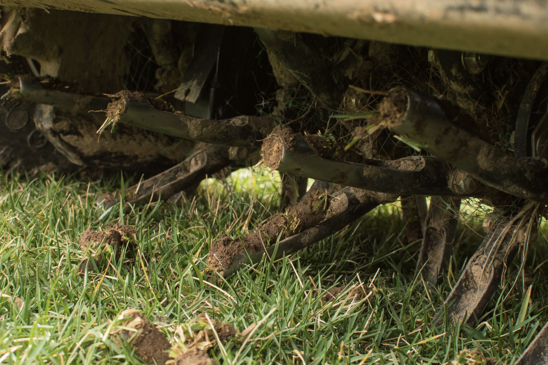 Areation examples Lawn Care in Birmingham and Montgomery