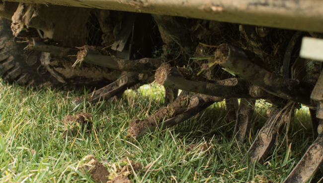 Areation examples Lawn Care in Birmingham and Montgomery