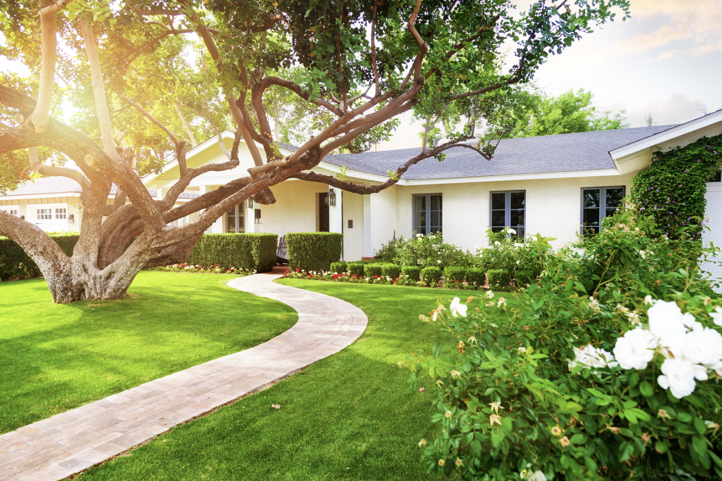 green alabama lawn, alabama lawn care company
