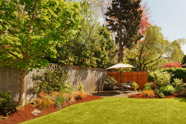 backyard mosquito control